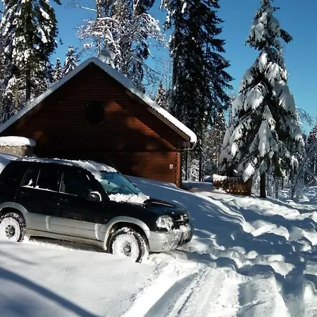 Holiday Polsak