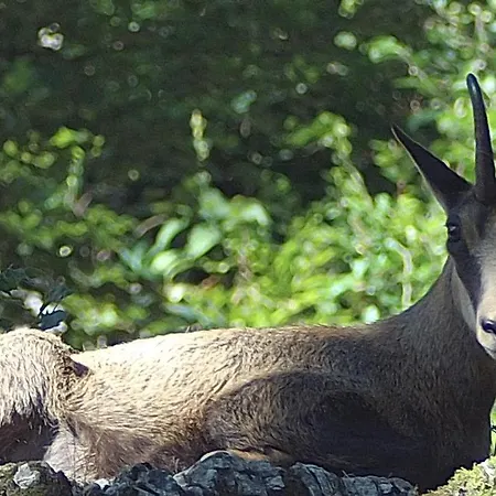 Holiday Polsak Appartamento Planina (Notranjska)